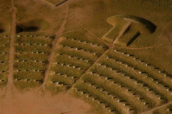 Prehistoric Museum Model